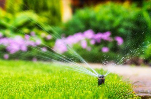 Automatic Sprinkler In Backyard — Greer, SC — Smith Irrigation & Landscaping