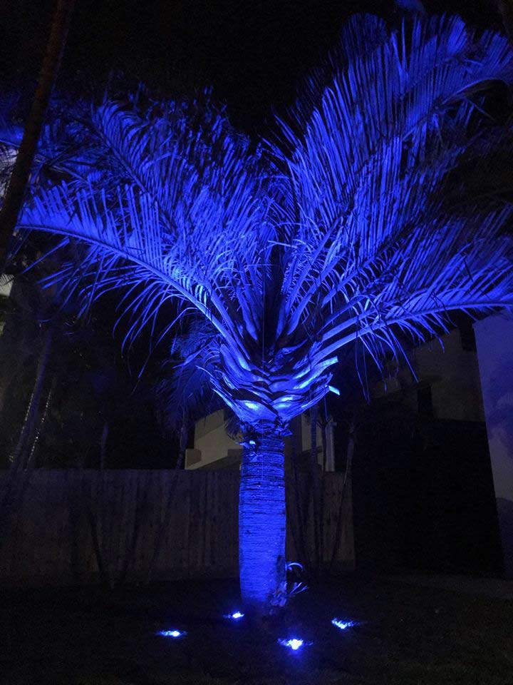 Tree lights
