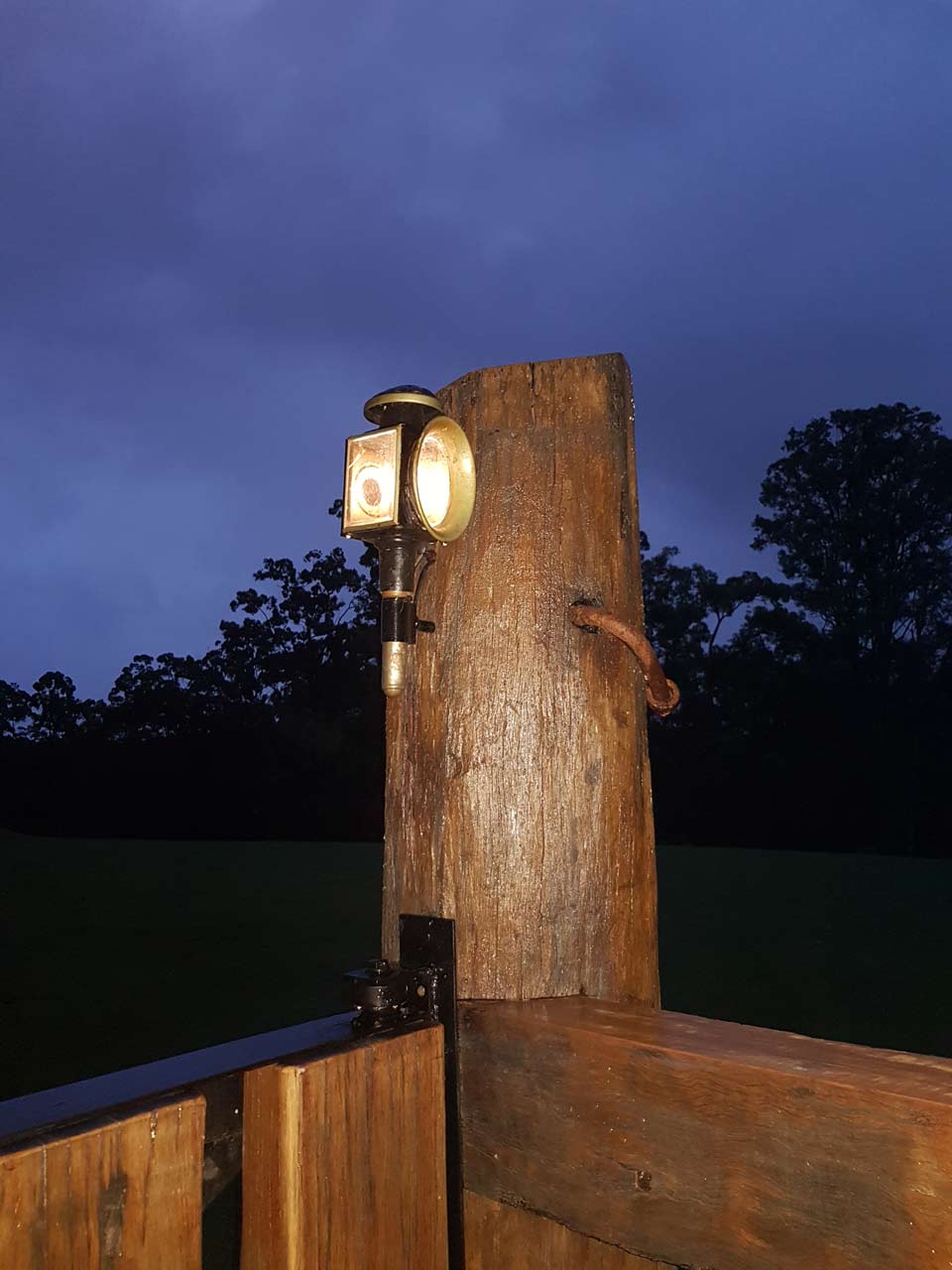 Speciality Lights