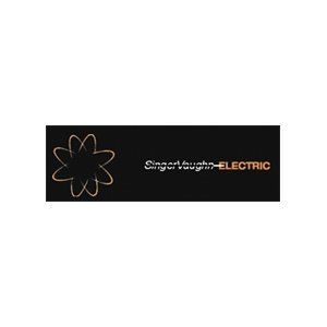 https://www.singervaughnelectric.com/