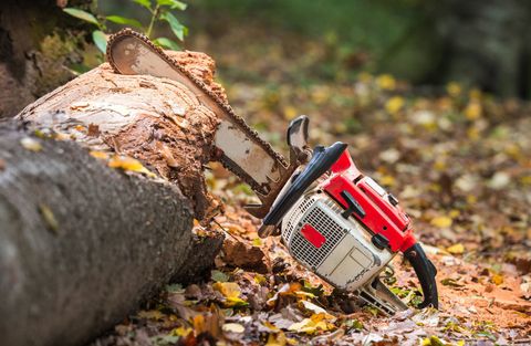 Tree Removal — Fallen Tree with Chainsaw Attached to It in Somerset, PA