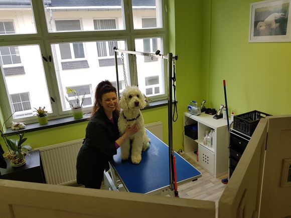 Hundesalon HollyInn Zwönitz - der neue, Bahnhofstr. 43, Zwönitz Hundesalon HollyInn Zwönitz Erzgebirge - Hundepflege Groomer Hundefriseur Hundesalon neu