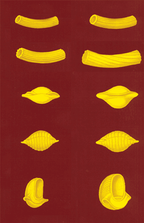 Pasta corta