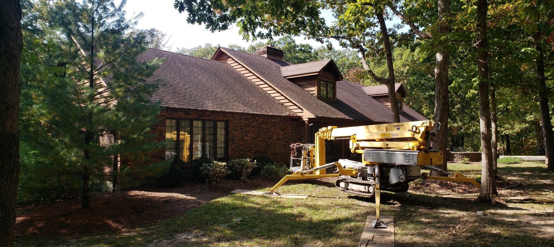 front yard with tree