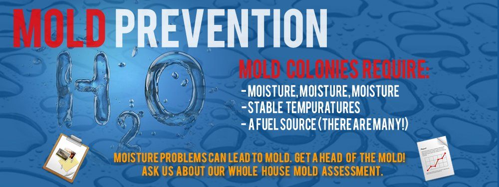 Call now! Missouri Mold Prevention