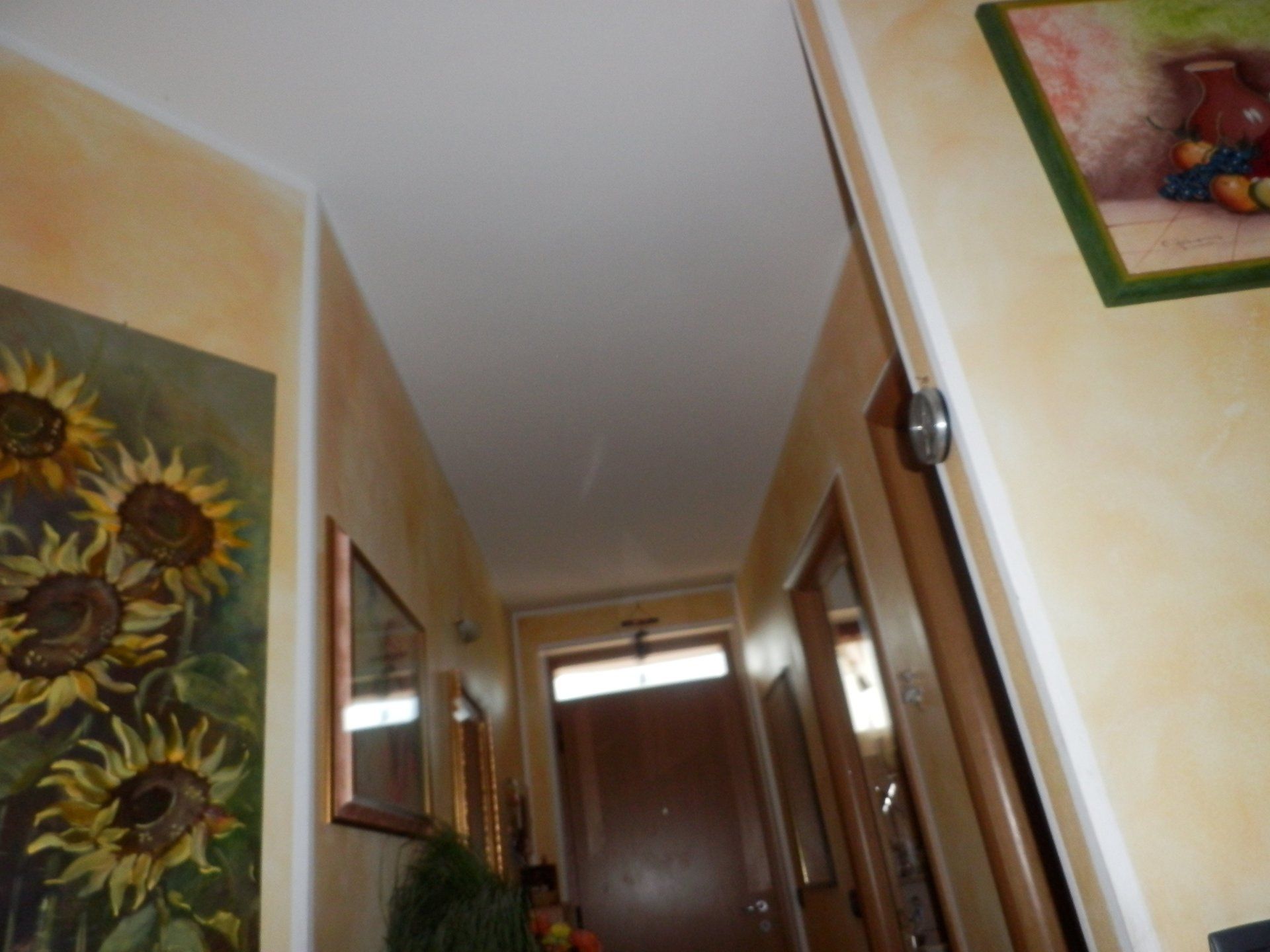 pitturazione mura interne