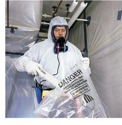 Mold Removal and Restoration Contractor
