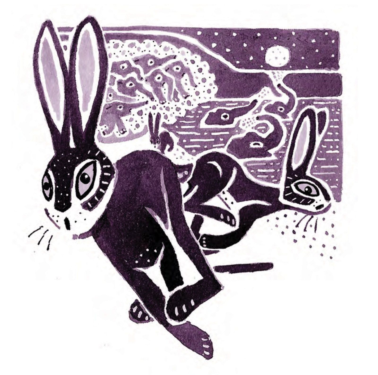 hares, moon, elephants, lake, ink, OUP,