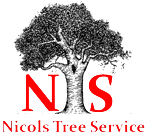 Tree Service Meadville, PA