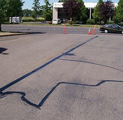 Asphalt Crack Sealing - Asphalt Crack For Sealing in Kent, WA