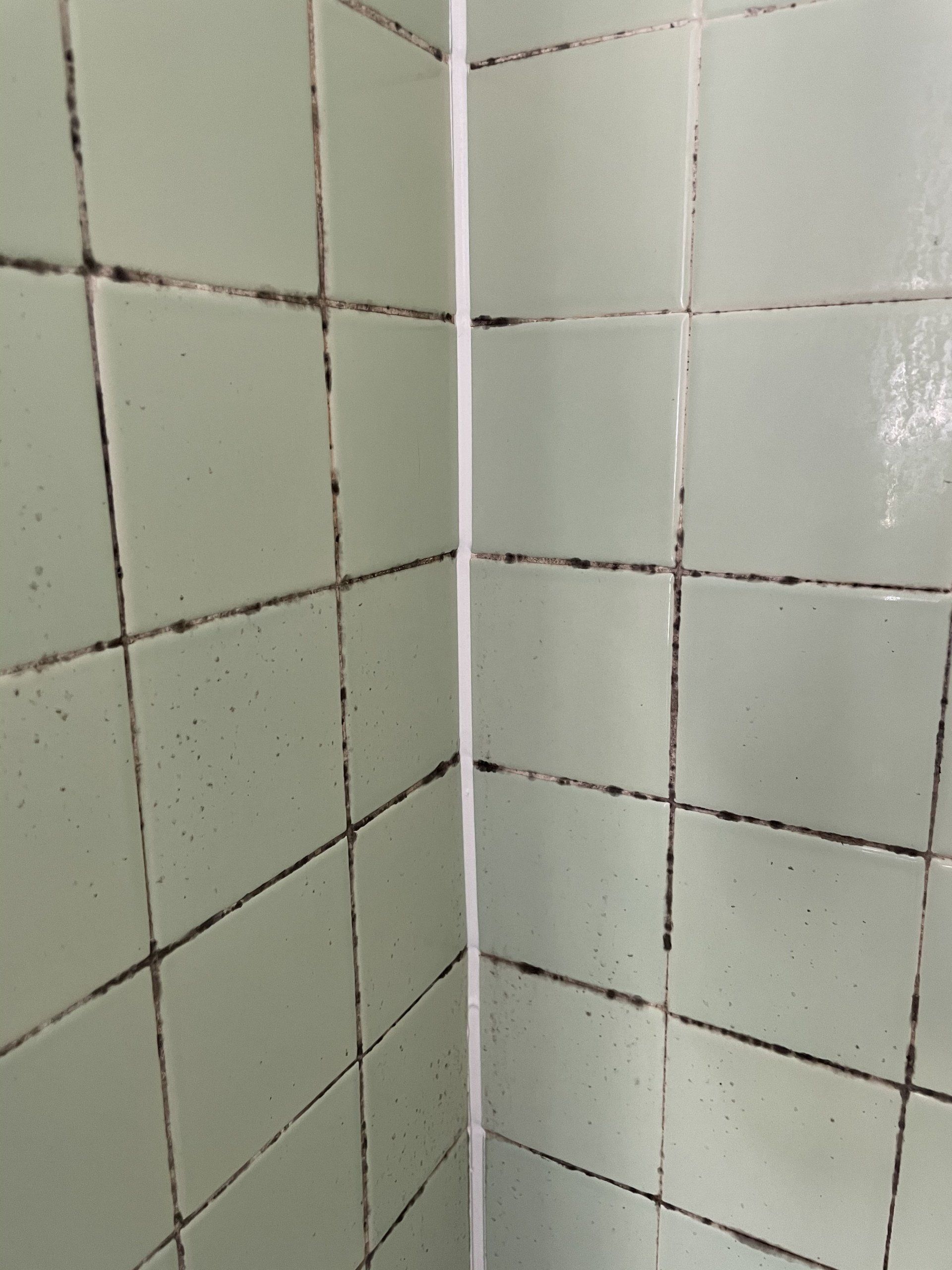 Corner of a tiled shower wall with pale green square tiles and dark grout lines.