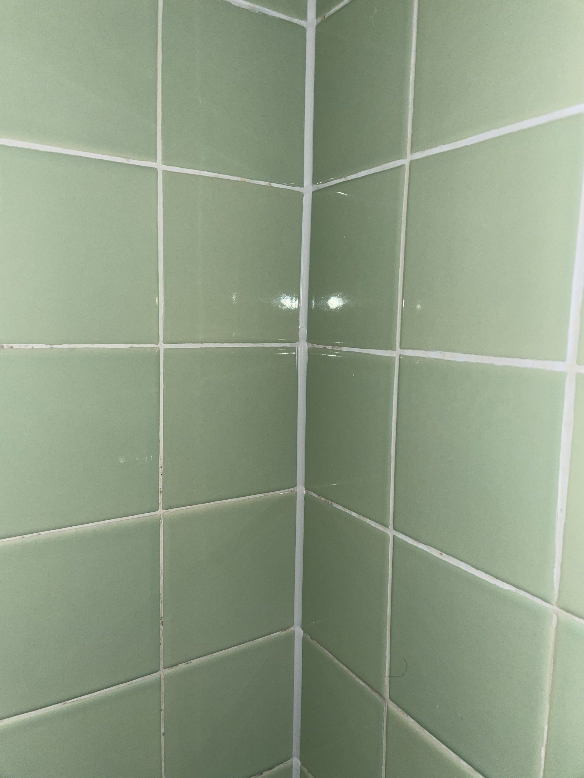 Close-up of a corner with glossy light green ceramic tiles and white grout lines.