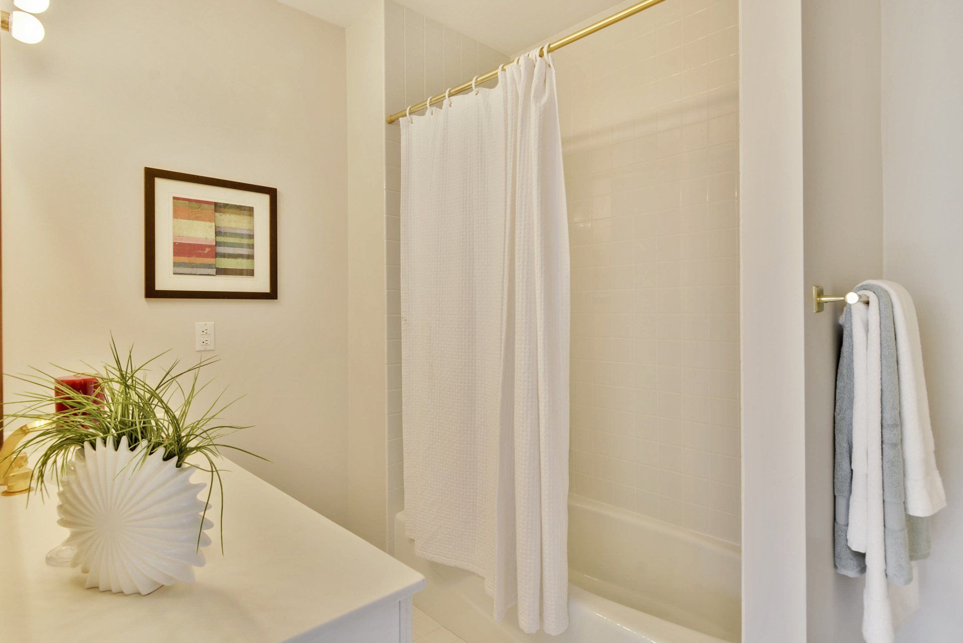 Bright bathroom with a shower curtain, towel rack, and a potted plant on a vanity.