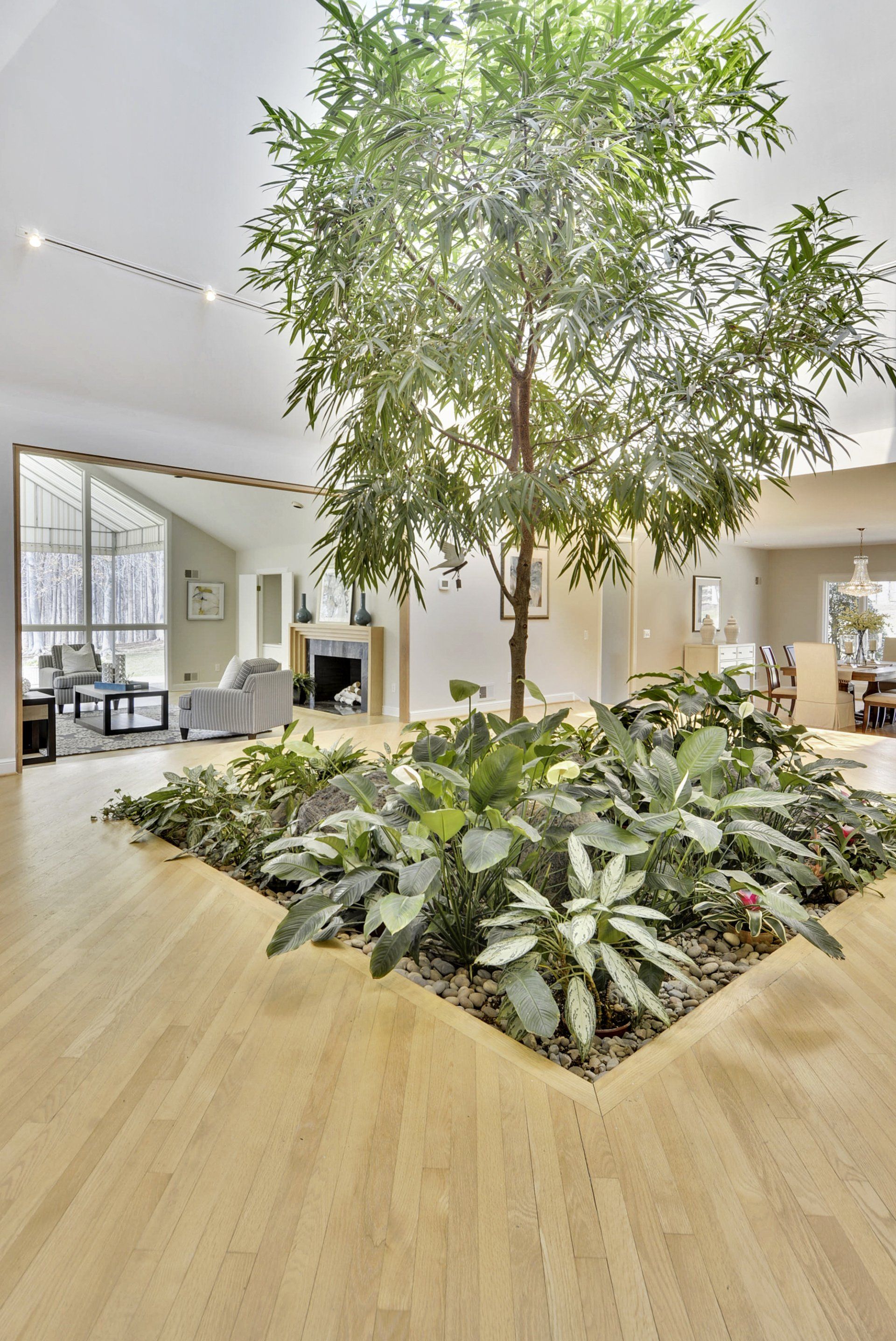 Modern lobby with a large indoor tree and planted greenery in a bright, open office space