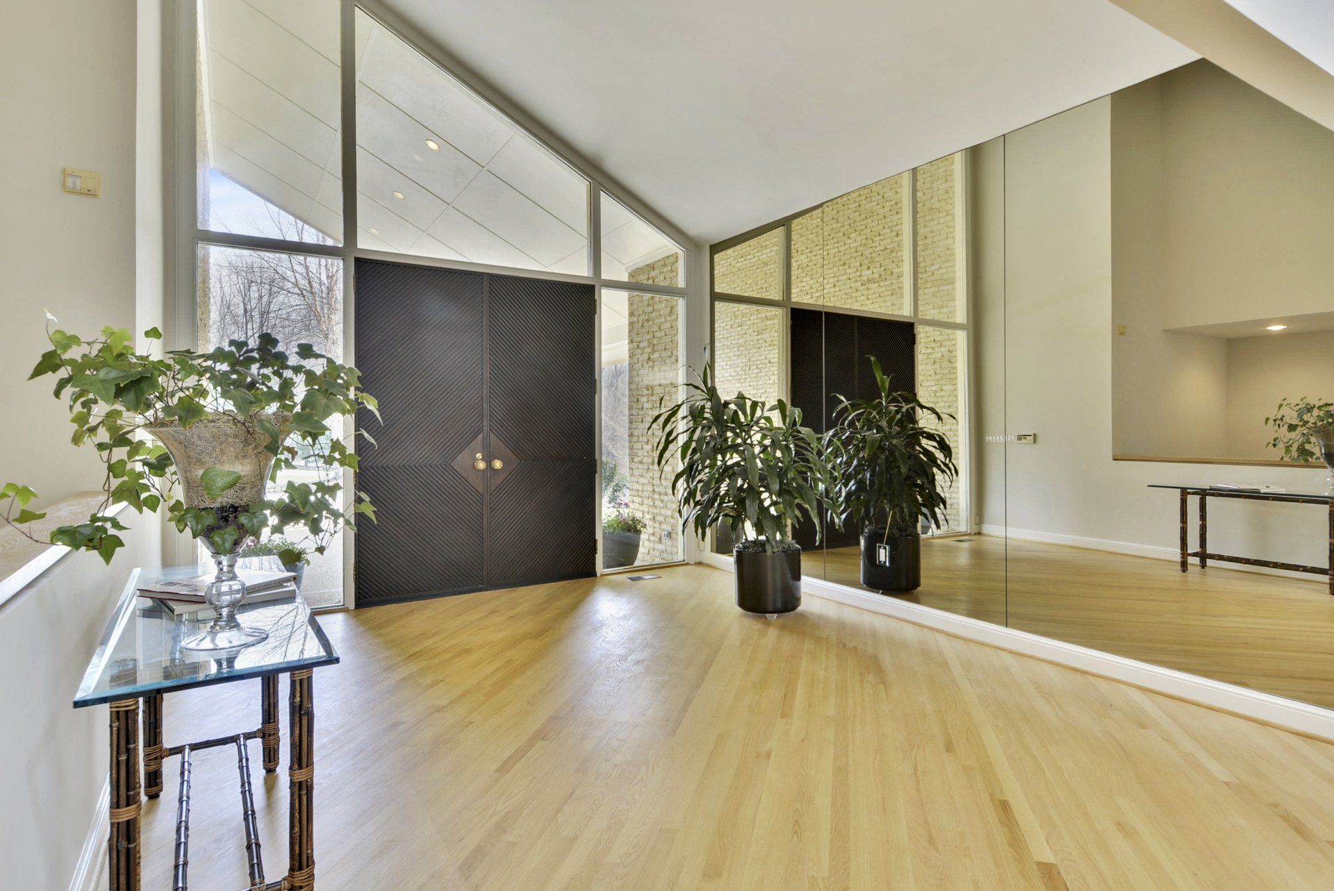 Bright modern interior with wood floors, large plants, mirror wall, and tall windows.