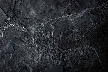 Texture of Black Stone Countertop Material
