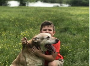 Woman Holding a Dog — Cordova, TN — Roto Clean
