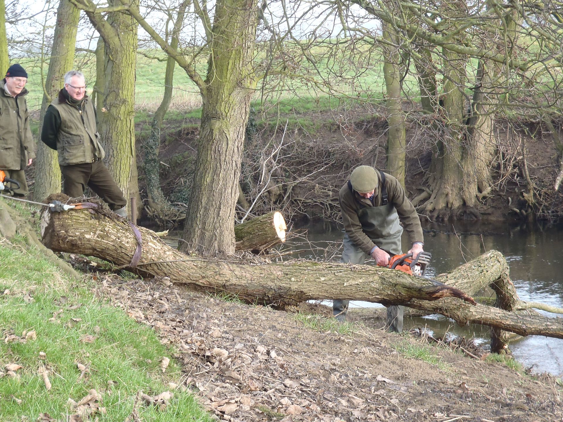 A man is cutting a tree branch with a chainsaw.
