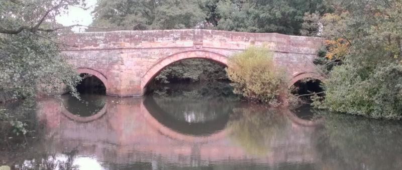 A bridge over a body of water surrounded by trees.
