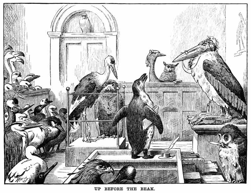 Birds in court artwork — Randall Legal in Lismore, NSW