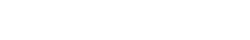 Diginomic White Logo