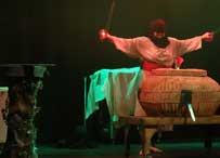 theme park magic show