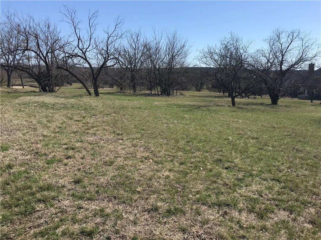 A large grassy field with trees in the background.