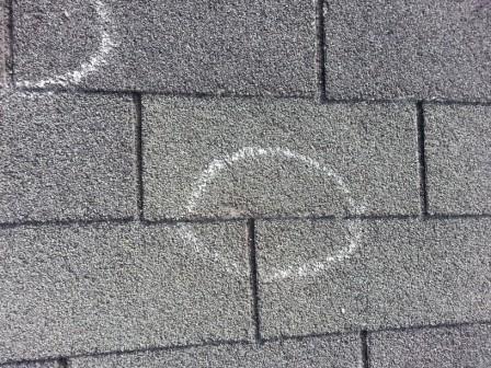 Hail Damage Shingle Roof Austin Roofing and Construction