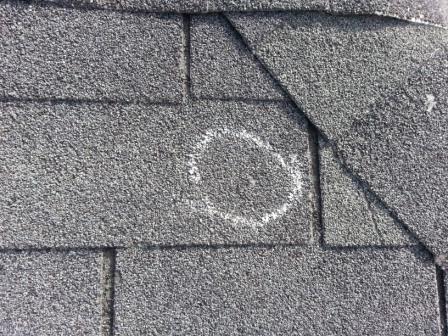 Hail Damage Shingle Roof Austin Roofing and Construction