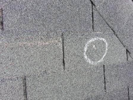 Hail Damage Shingle Roof Austin Roofing and Construction