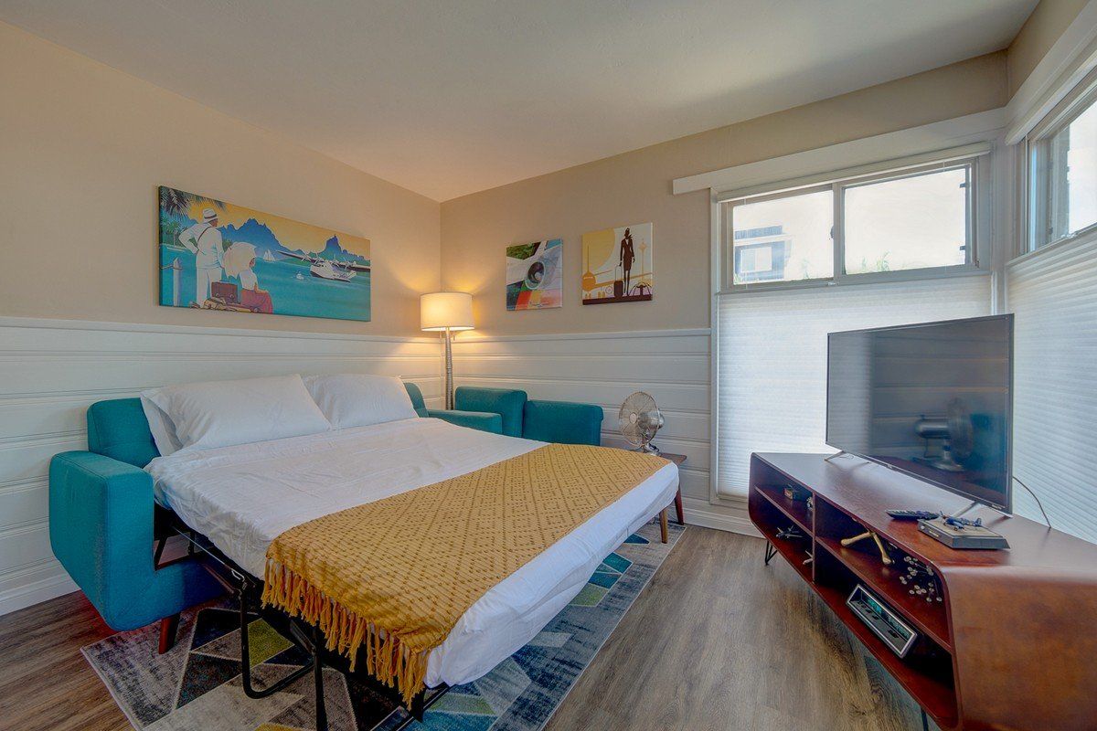 a bedroom with a couch that can be converted into a bed and a television .