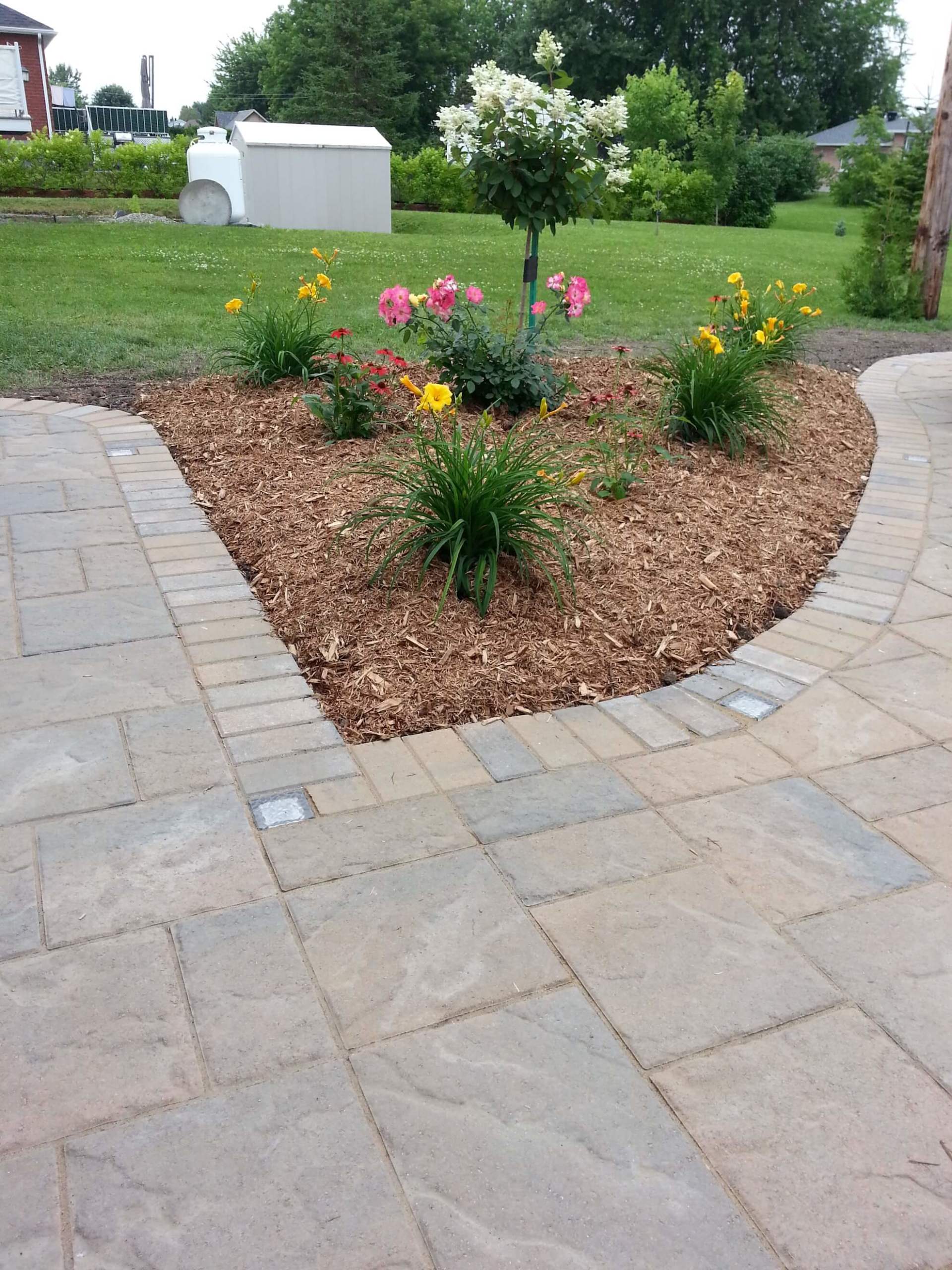 Un patio avec des fleurs et du paillis dessus