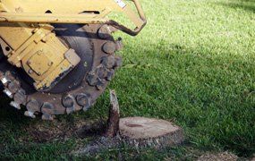 image-72252-02D22872.jpg?1410464811485