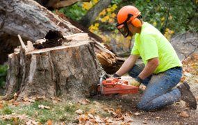 image-1192590-153484-land-clearing-services.jpg