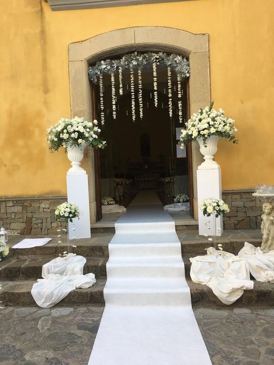 piante e fiori