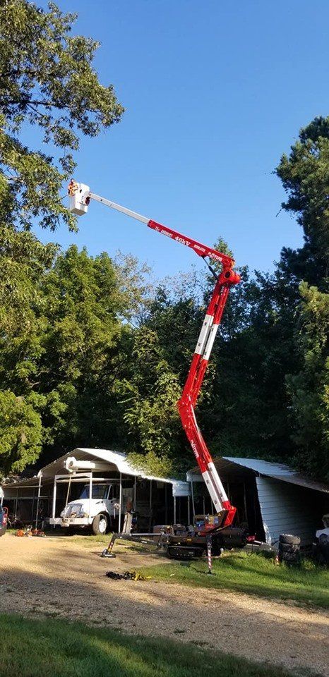 A tree trimming service is using a boom lift to reach the top of a tree near a house on a sunny day.