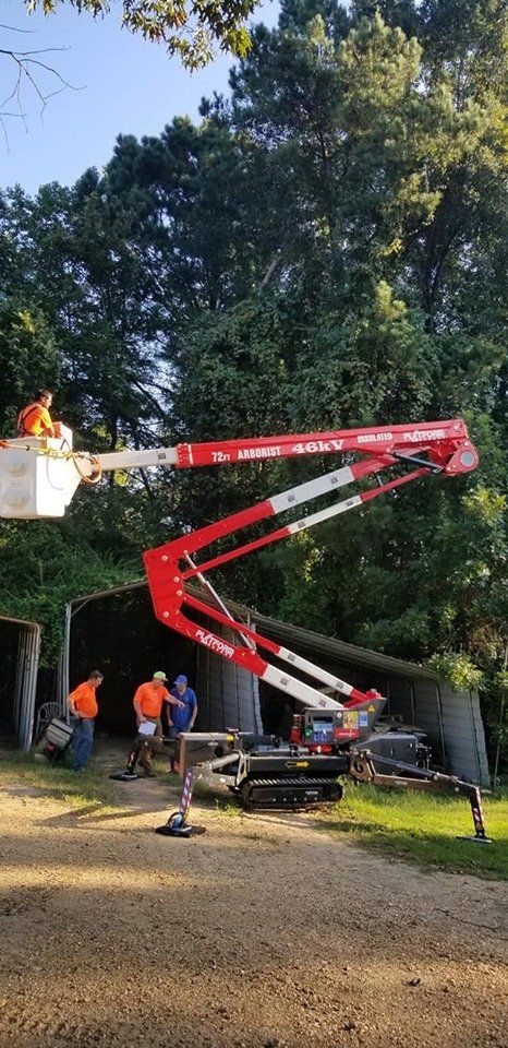 A cherry picker lifts a worker to trim a tree. Other workers stand nearby.
