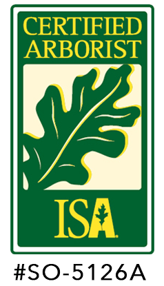 ISA Certified Arborist