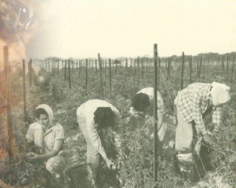 משק פורת עין יהב פרטים נוספים משק פורת עין יהב פרטים נוספים