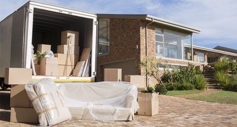sofa removal