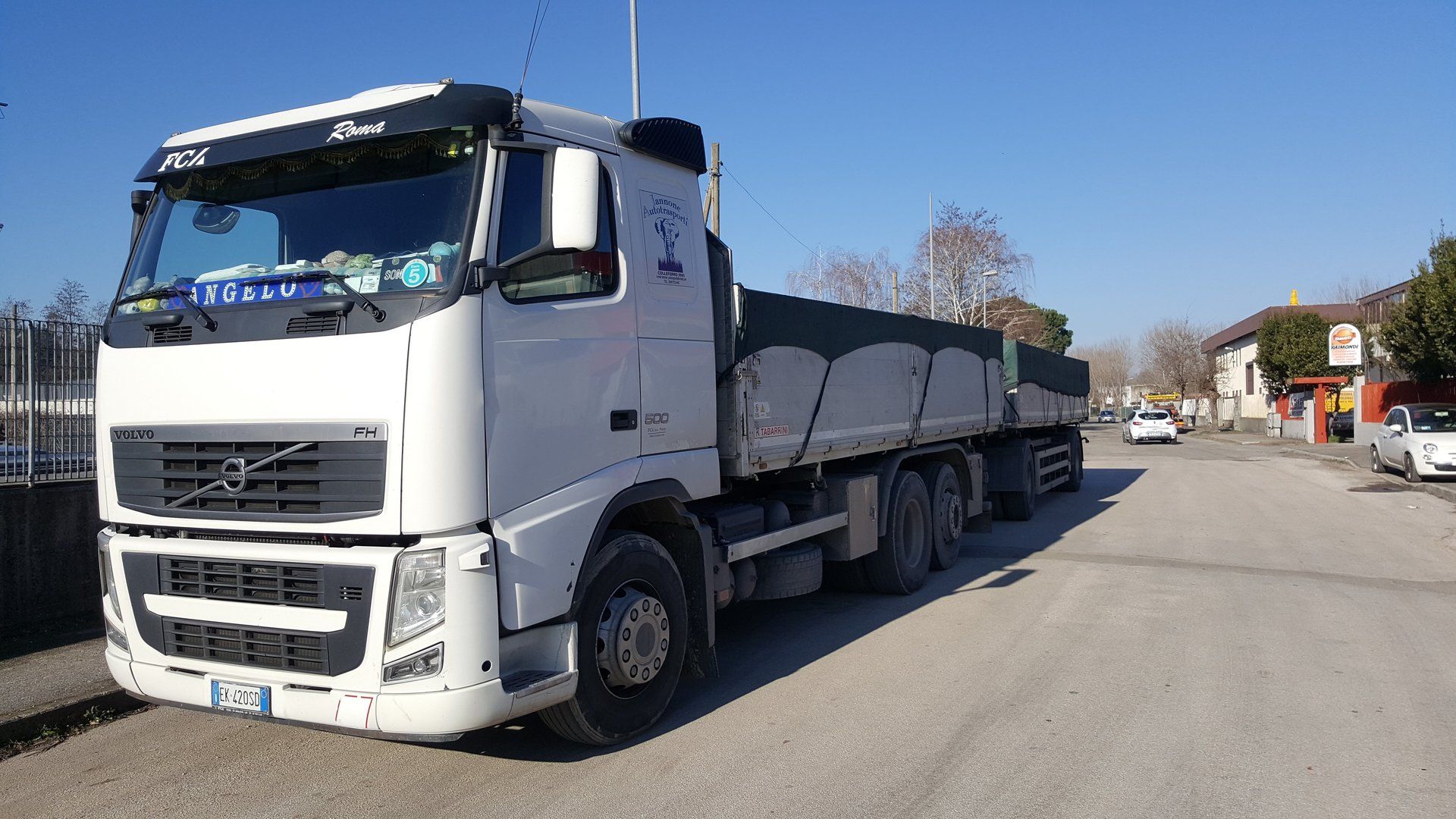Camion per trasporto su strada