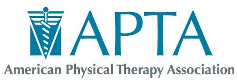 American Physical Therapy Association American Physical Therapy Association