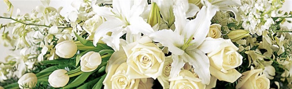Fiori e piante