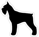 American School of Dog Grooming