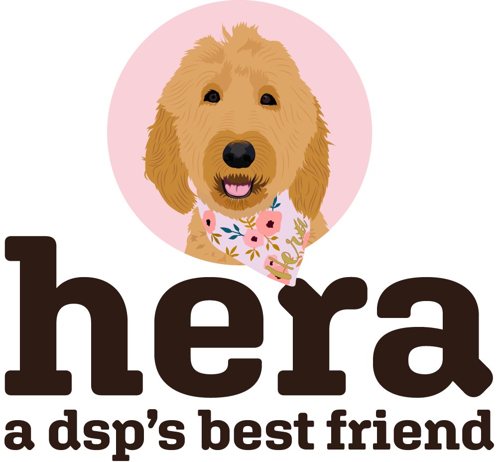 Hera logo