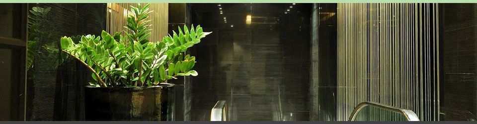 Fake plants in large black vase in oxford office