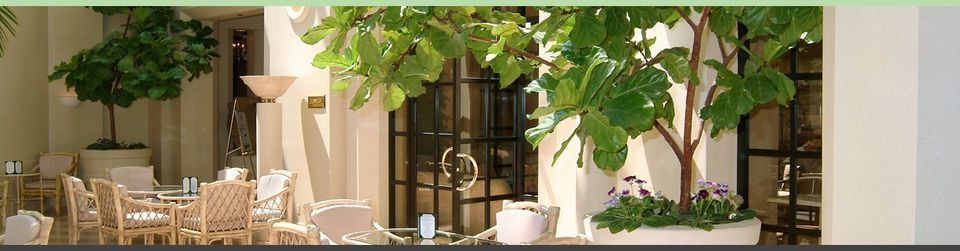 For further information call Premier Plants today at 01993 812 338