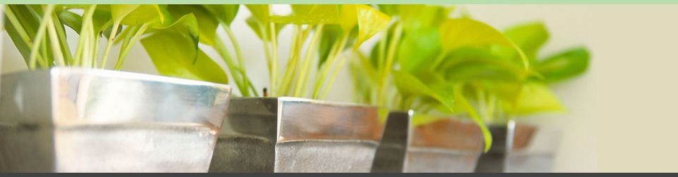 new plants in silver pots in oxford office