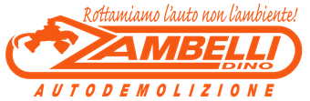 SOCCORSO STRADALE ZAMBELLI DINO - LOGO