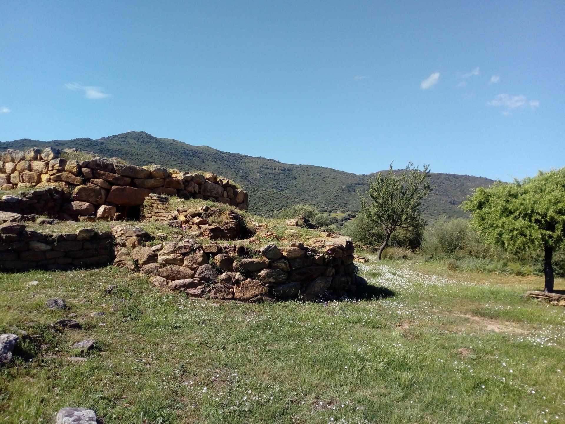 siniscola mountain area
